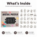 Puzzle Lock Metal Unlock Puzzle 24-in-1 Set