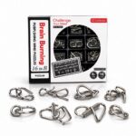 Puzzle Lock 16-in-1 Brain Teaser Metal Puzzles (Black Box Version)