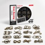 Puzzle Lock 16-in-1 Brain Teaser Metal Puzzles (Black Box Version)
