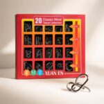 Puzzle Lock 20 Classic Mind Teaser Collection