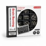 Puzzle Lock 16-in-1 Brain Teaser Metal Puzzles (Black Box Version)