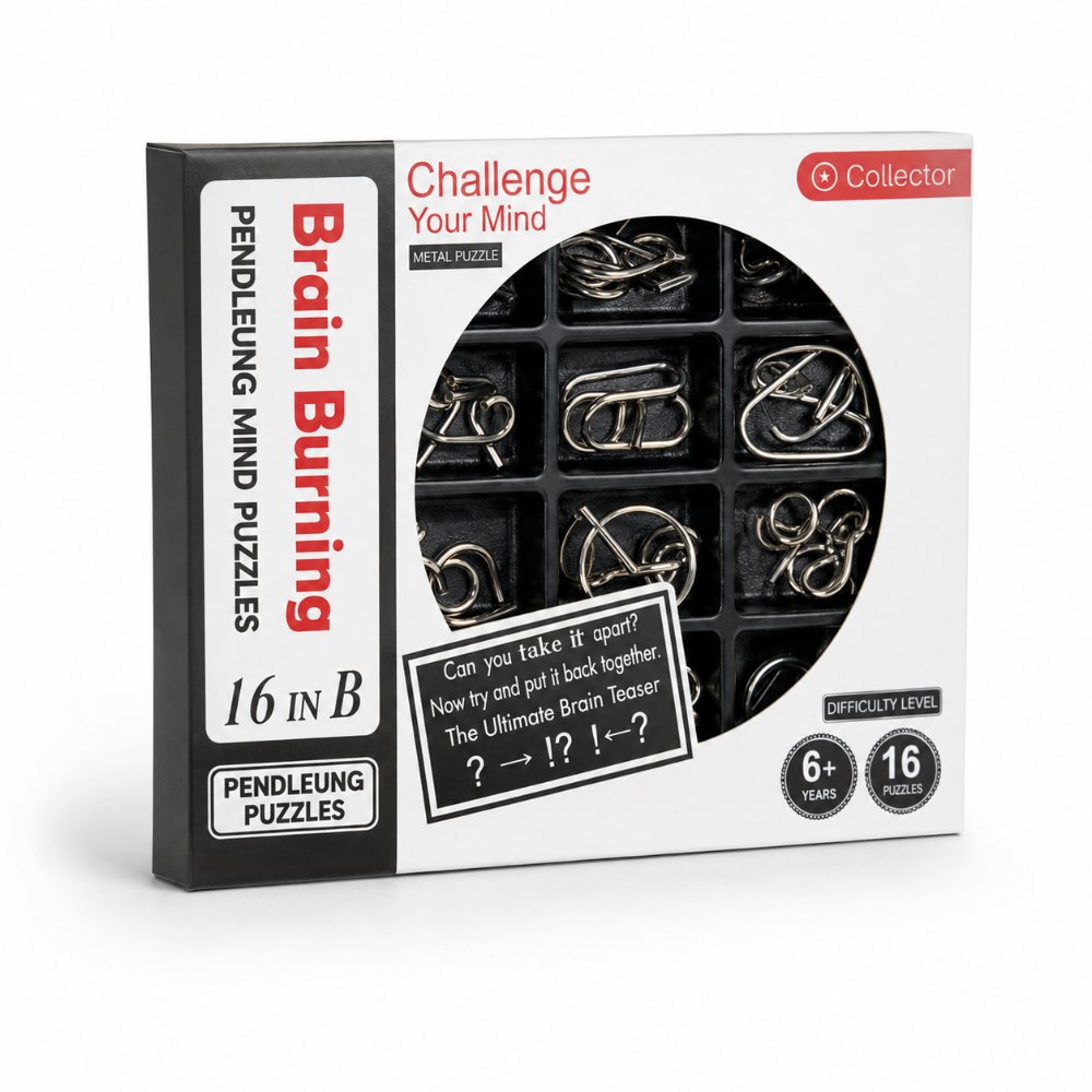 Puzzle Lock 16-in-1 Brain Teaser Metal Puzzles (Black Box Version)