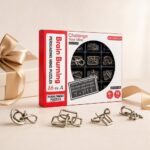 Puzzle Lock 16-in-1 Intelligence Unlock Puzzle (Red Box Version)