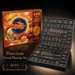 Nine Linked Rings （China Ring） 80-Piece Gift Set of Nine Linked Rings Brain Teaser Puzzles