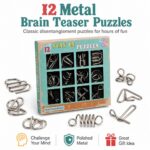 Puzzle Lock Metal Unlock Puzzle 12-in-1 Set