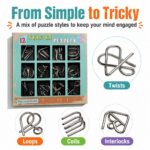 Puzzle Lock Metal Unlock Puzzle 12-in-1 Set