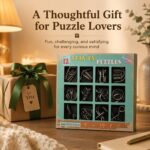 Puzzle Lock Metal Unlock Puzzle 12-in-1 Set