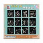 Puzzle Lock Metal Unlock Puzzle 12-in-1 Set