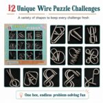 Puzzle Lock Metal Unlock Puzzle 12-in-1 Set
