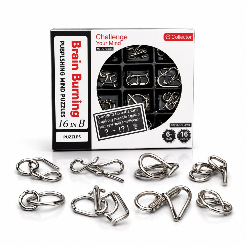 Puzzle Lock 16-in-1 Brain Teaser Metal Puzzles (Black Box Version)