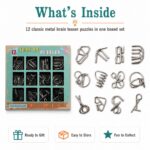 Puzzle Lock Metal Unlock Puzzle 12-in-1 Set