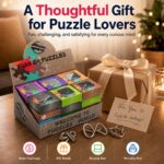 Puzzle Lock Single-Piece Metal Unlock Puzzle 24-in-1 Set